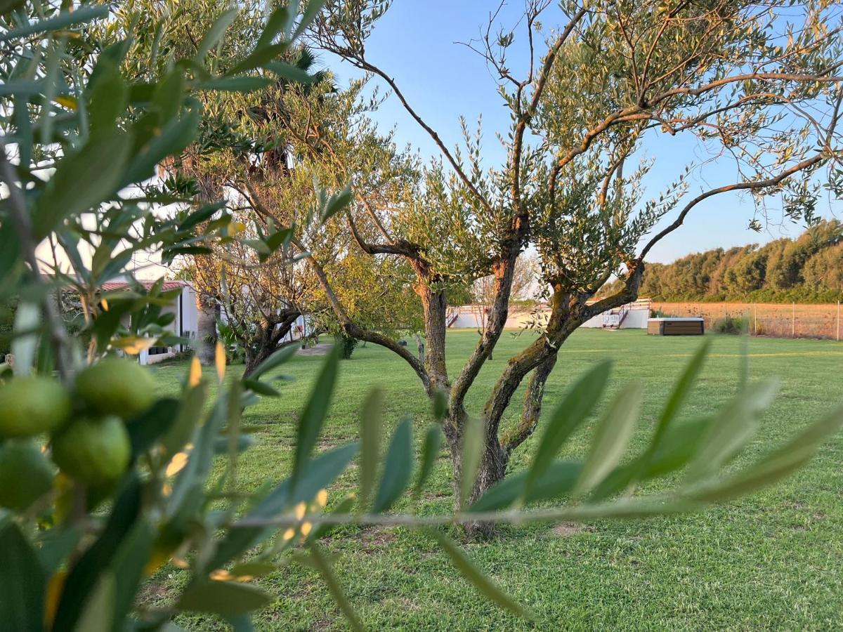 Podere Cala Viola
