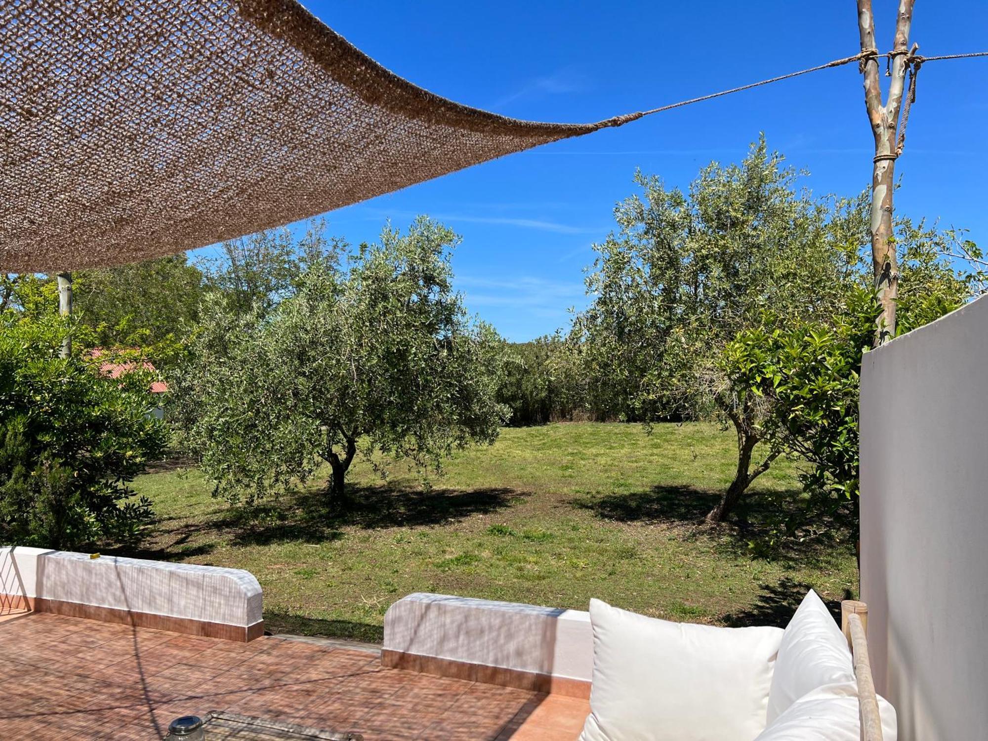 Podere Cala Viola Hébergement de vacances