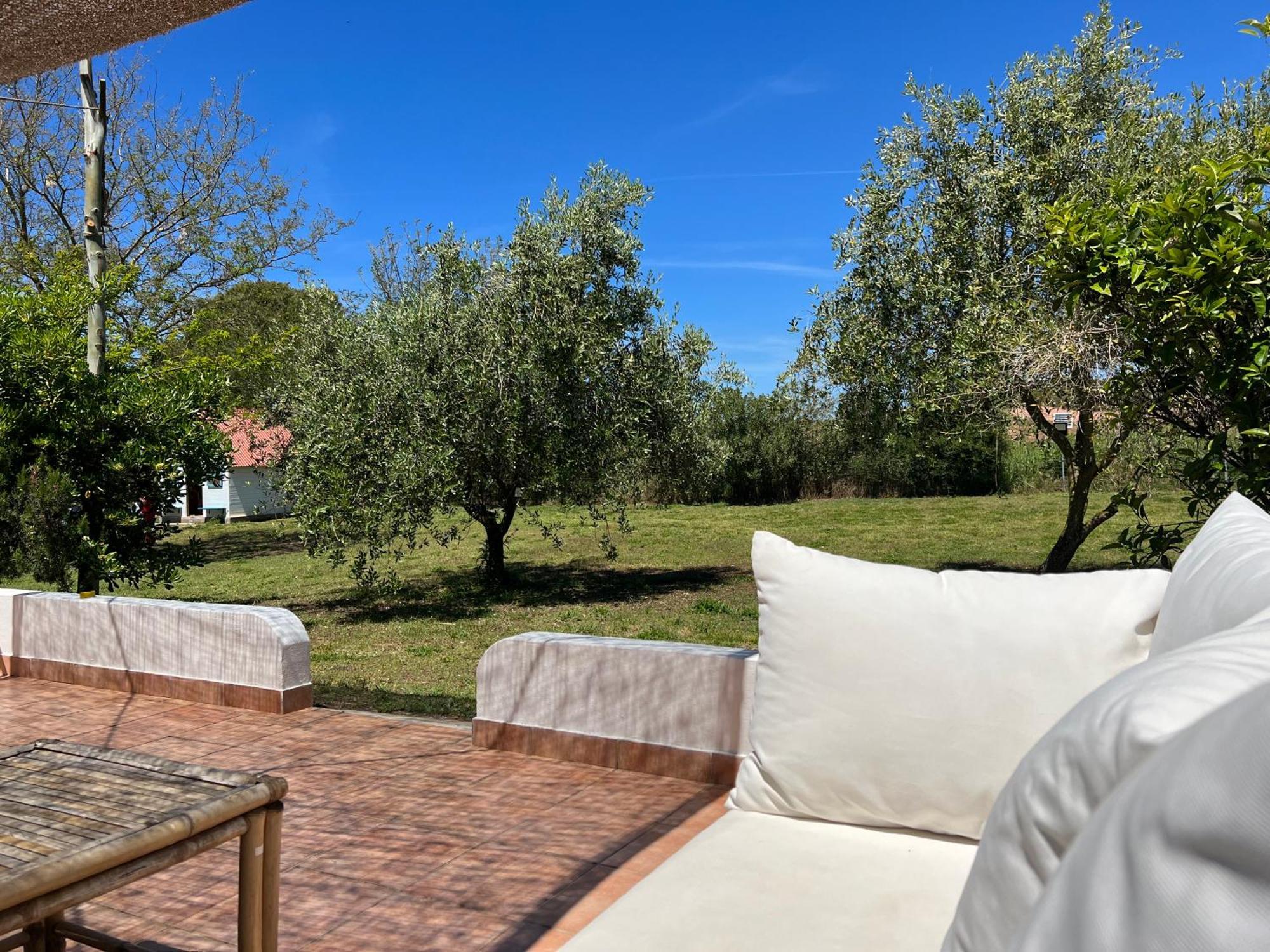 Podere Cala Viola Hébergement de vacances